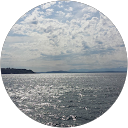 James Meaux profile picture